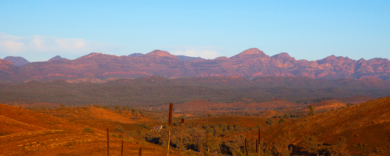 rural-remote-nursing-sa-alliance